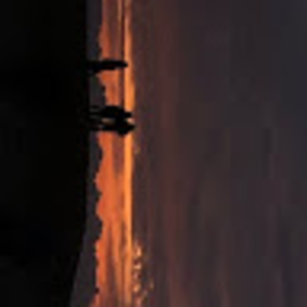 Meet your Posher, Bella